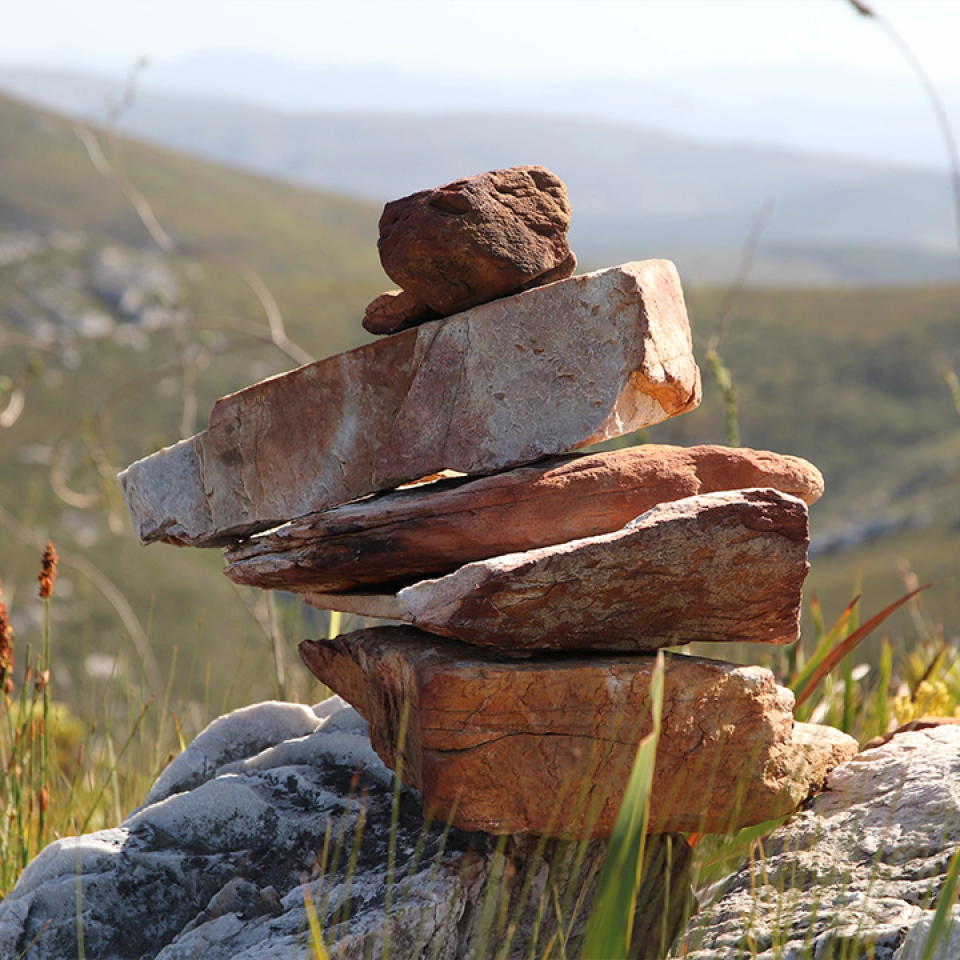 Therapeutische Workshops